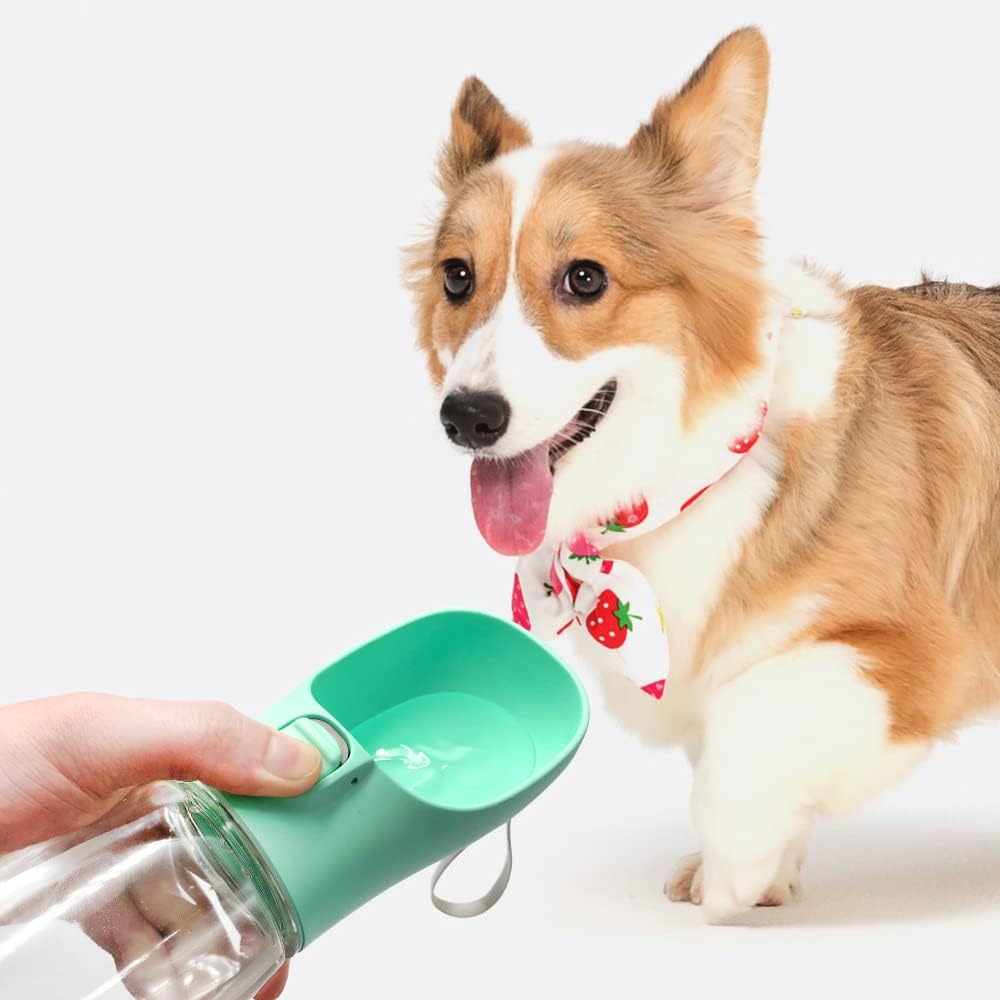 Bouteille d'eau Portable pour Chien