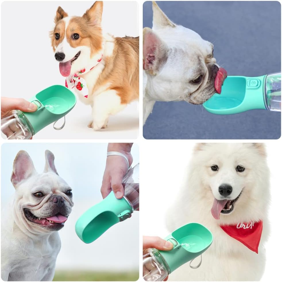 Bouteille d'eau Portable pour Chien