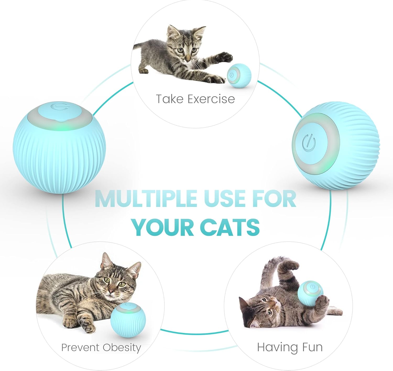 Balle Interactive pour chat