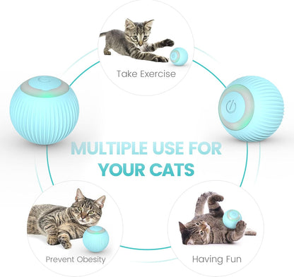 Balle Interactive pour chat