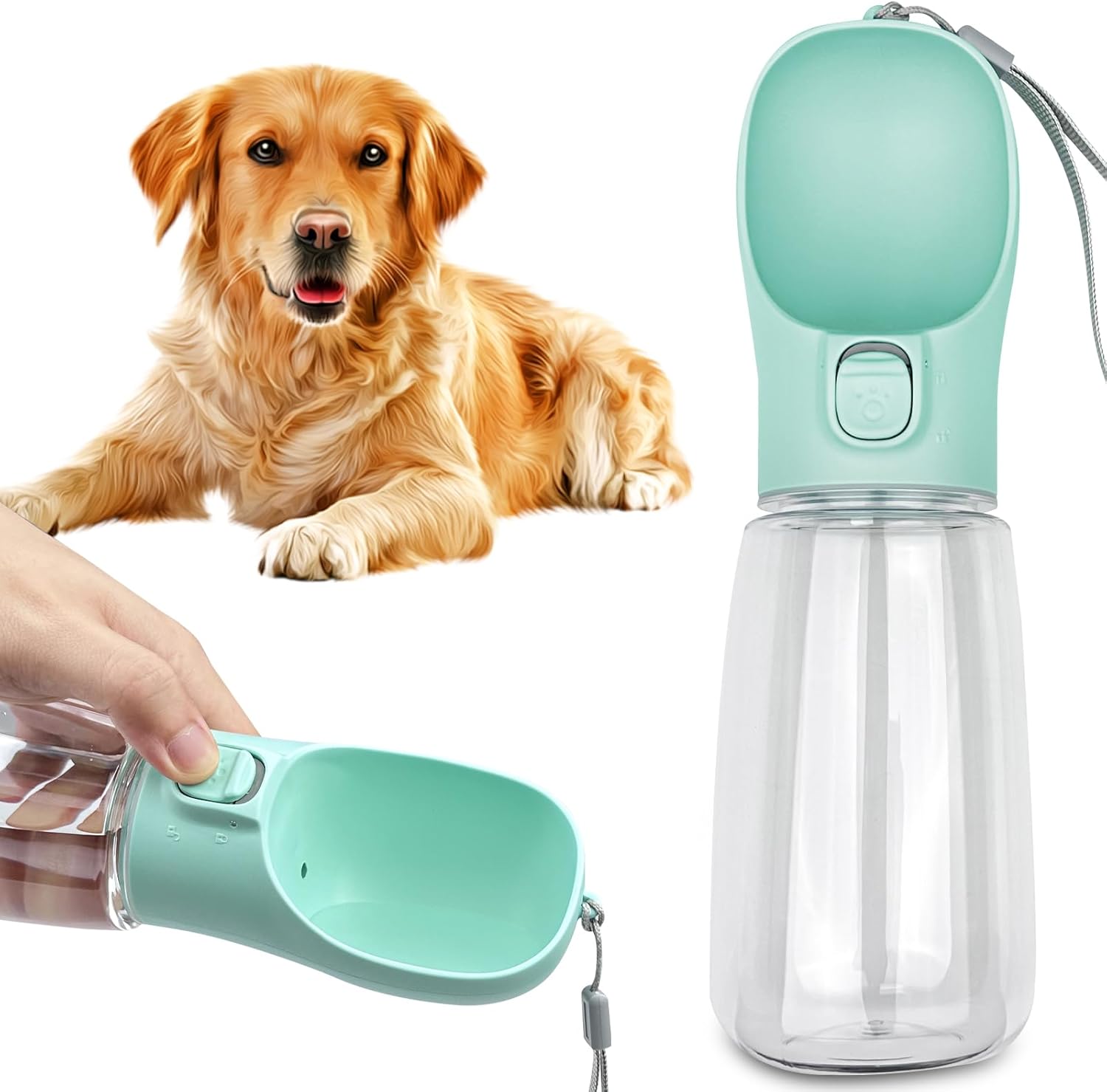 Bouteille d'eau Portable pour Chien