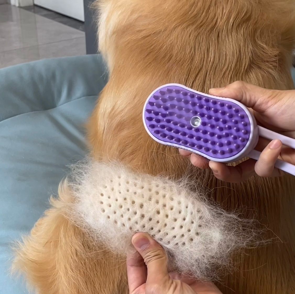 Brosse à vapeur pour chat